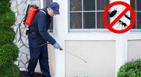 Atkaracalar Tahtakurusu İlaçlama böcek ilaçlama ve haşere kontrolü — ilaclama-tr.com
